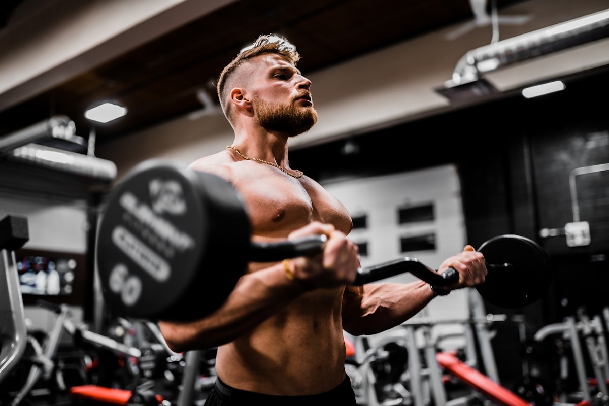 Adult athlete lifting weights